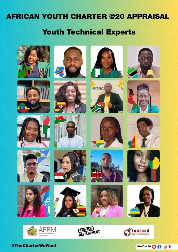 The 20 Youth Technical Experts
